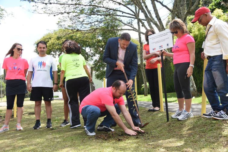 Em parceria com comissões da OAB foram plantadas mudas de árvores - Foto: Divulgação Em parceria com comissões da OAB foram plantadas mudas de árvores - Foto: Divulgação
