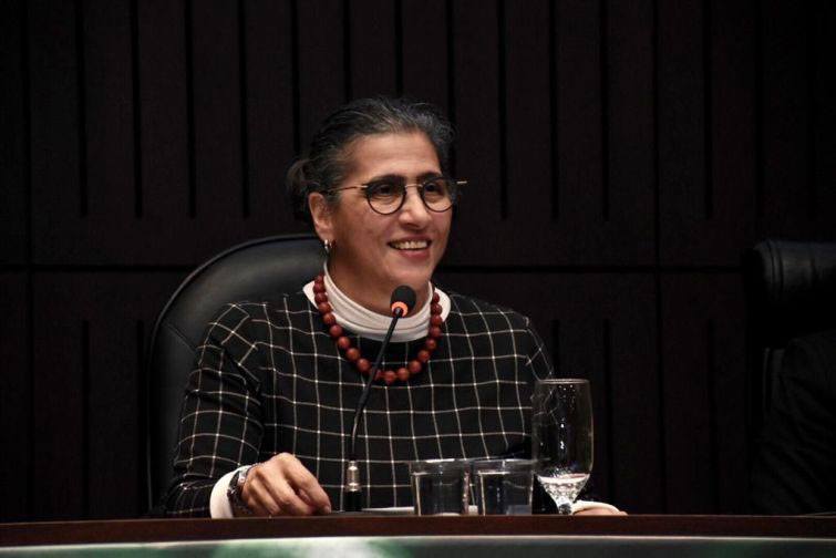 Professora Vera Karam de Chueiri - Foto: Bebel Ritzmann Professora Vera Karam de Chueiri - Foto: Bebel Ritzmann
