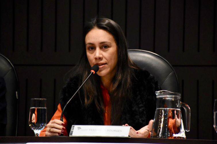 Professora Fernanda Bourges - Foto: Bebel Ritzmann Professora Fernanda Bourges - Foto: Bebel Ritzmann
